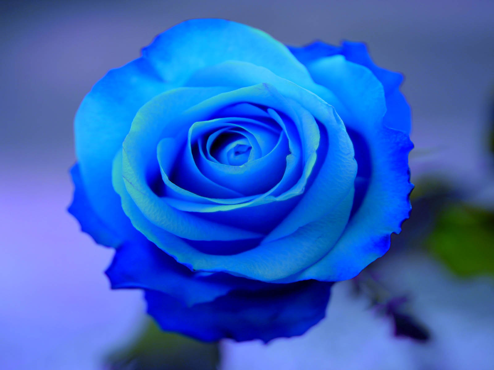 Related image