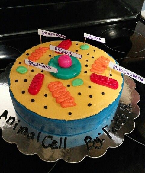 animal cell project
