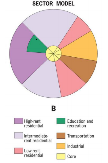 sector model