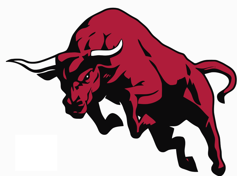 compare contrast bulls