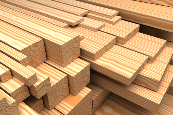Come è fatto il legno Come è fatto il legno