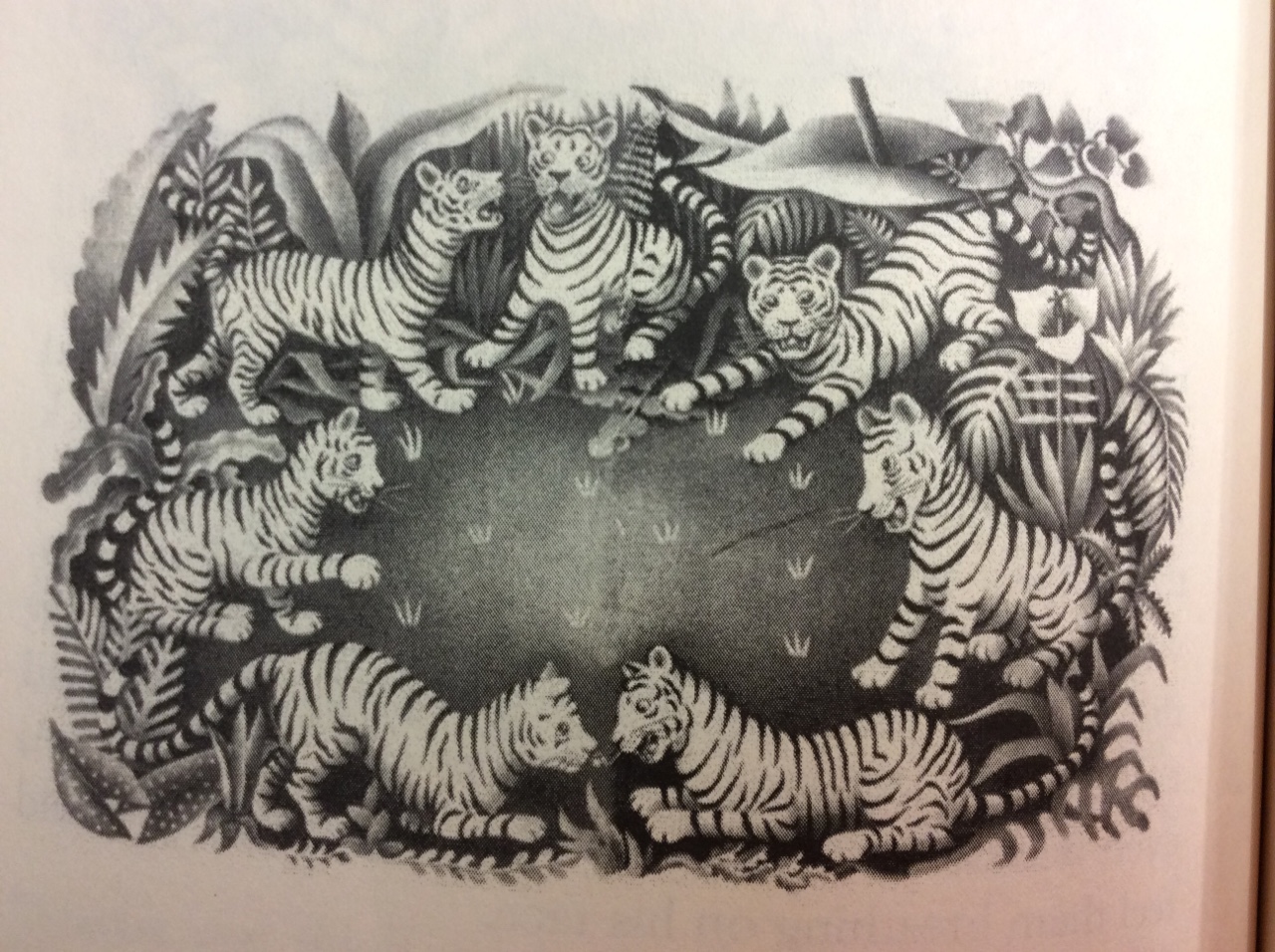 My Father's Dragon Coloring Page